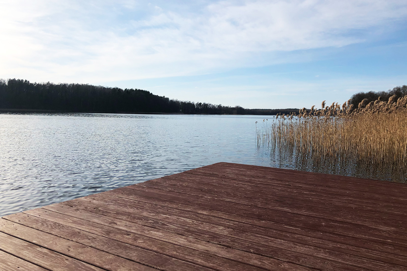 Apartament Waria